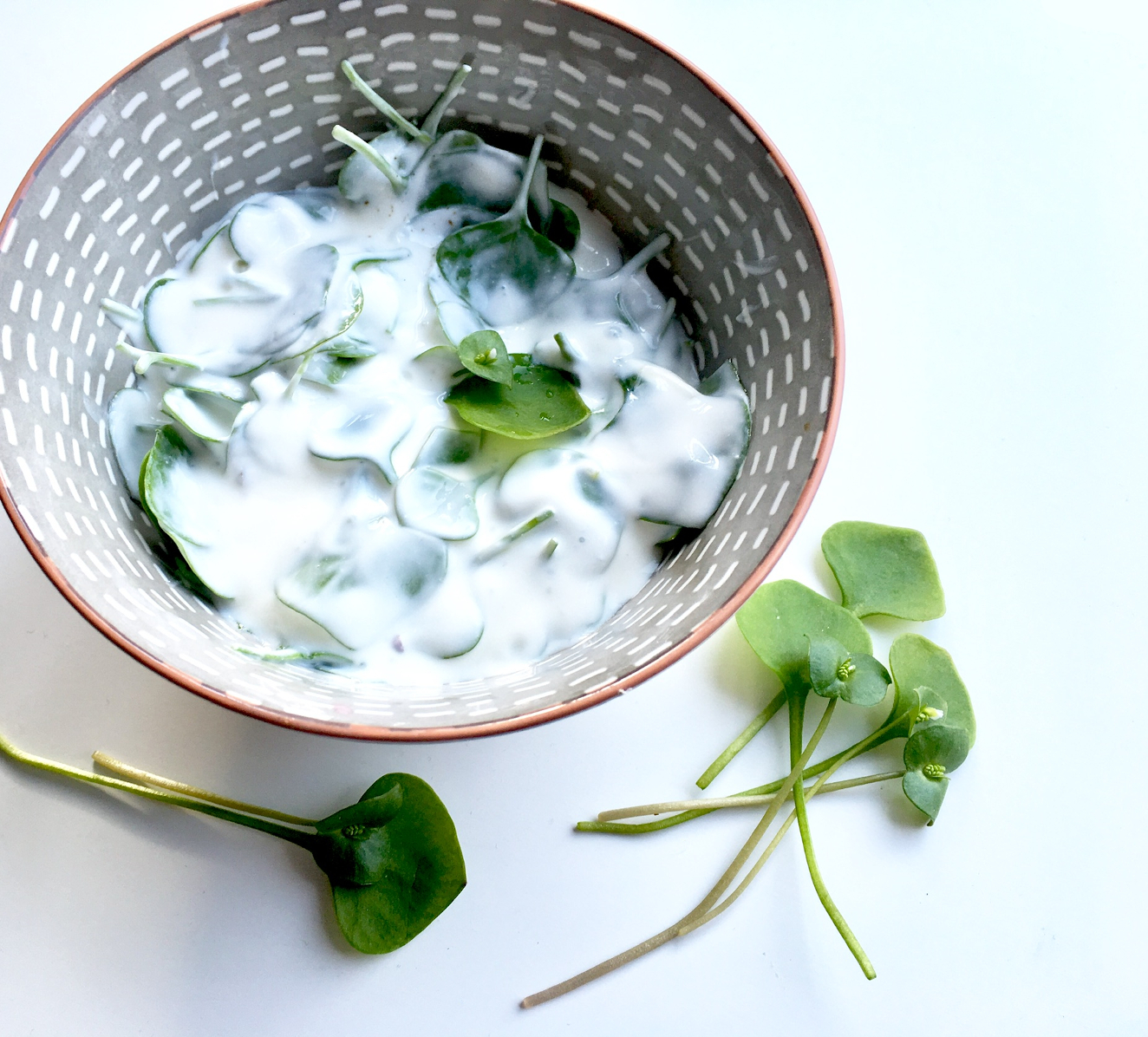 Portulak Rezept – der wilde Salat auf dem Teller