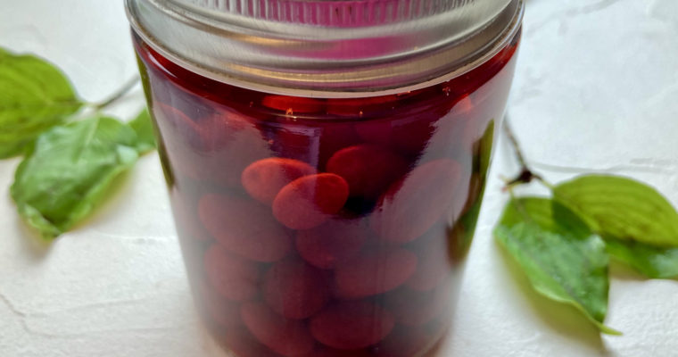 Falsche Oliven – Rezept mit Kornelkirschen