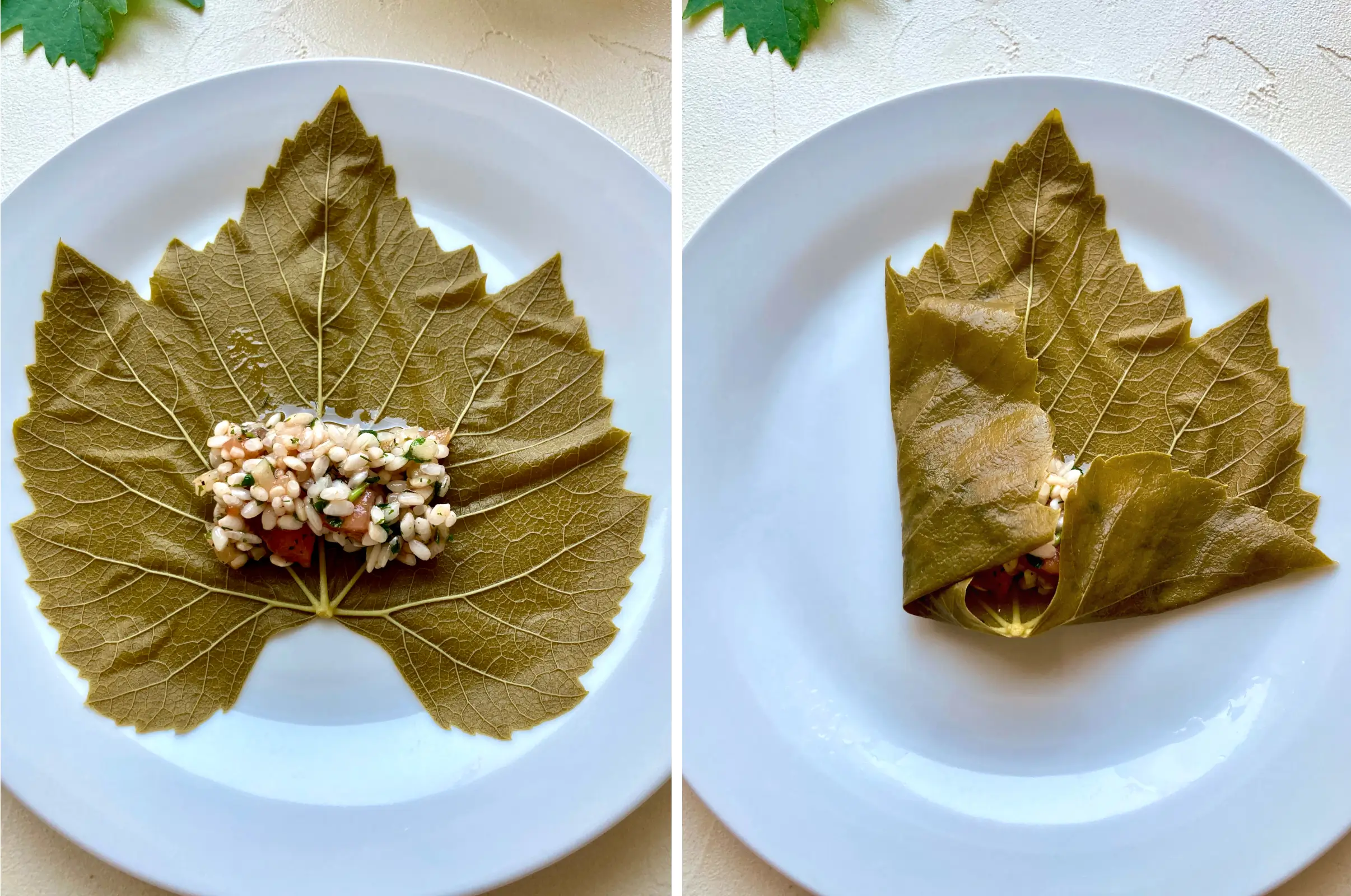 Anleitung zum Rollen von Weinblättern