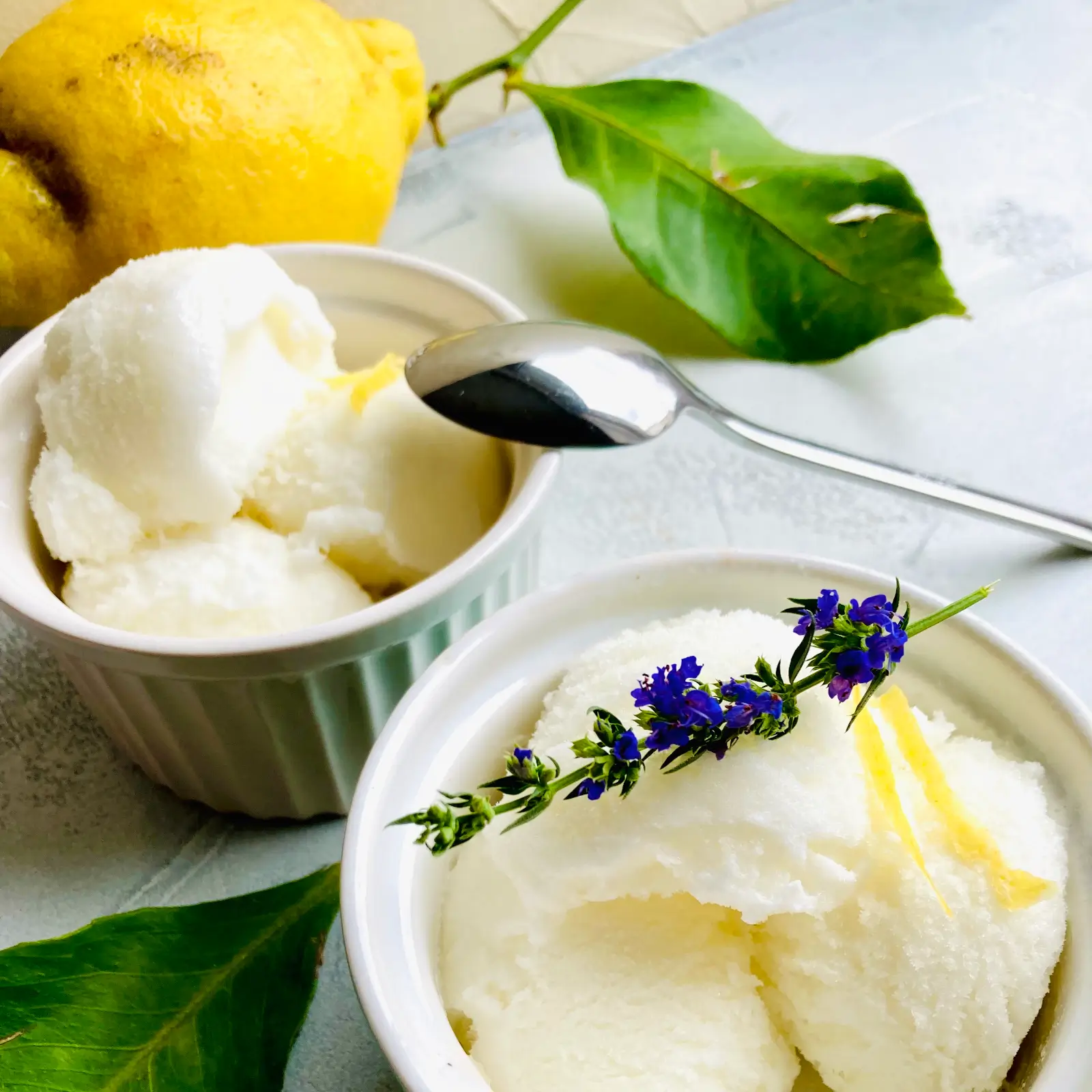 italienisches Zitronensorbet in Schälchen